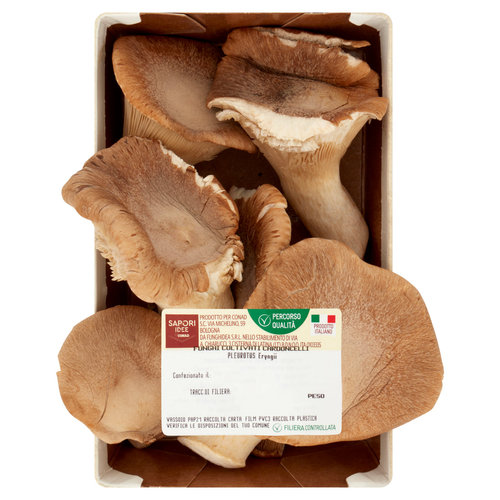 SAPORI & IDEE CONAD Percorso Qualità Funghi Coltivati Cardoncelli 200 g-image