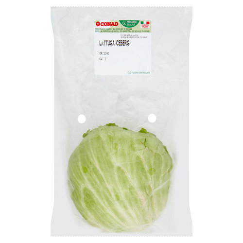 CONAD Percorso Qualità Lattuga Iceberg Italia 300 g-image