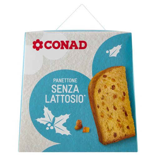 CONAD Panettone Senza Lattosio* 750 g-image