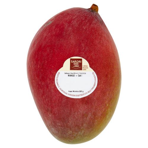 SAPORI & IDEE CONAD Mango Brasile 380 g-image