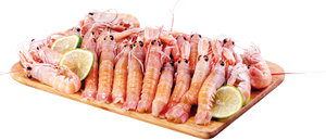 www.conad.it