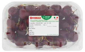 www.conad.it