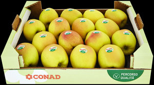 www.conad.it