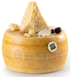 www.conad.it
