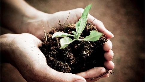 Come-si-fa-il-compostaggio