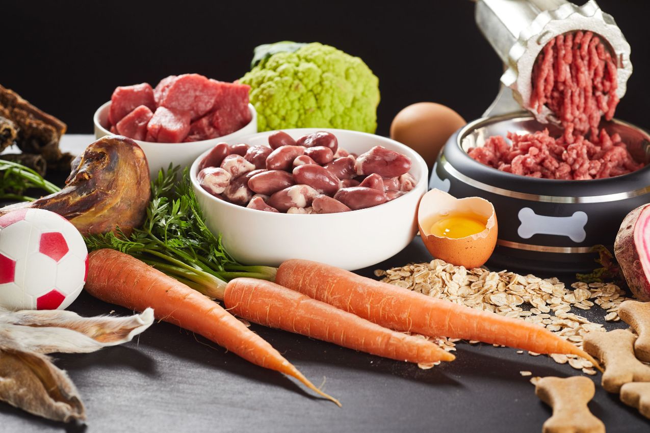 Cibo Casalingo Per Cani E Gatti Consigli E Ricette Veloci